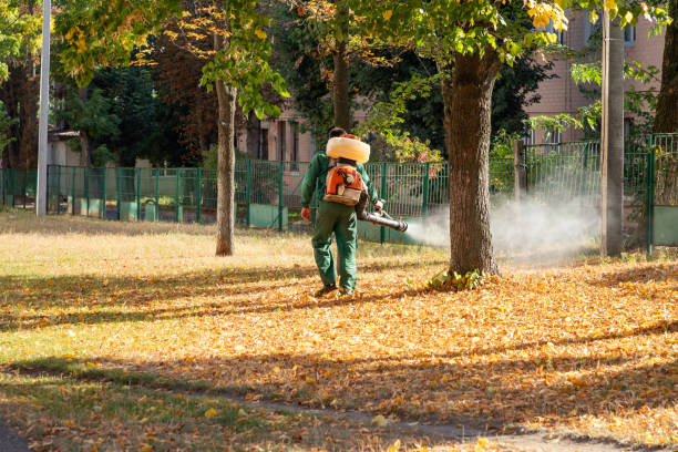 Best Pest Control Near Me  in Monroeville, IN