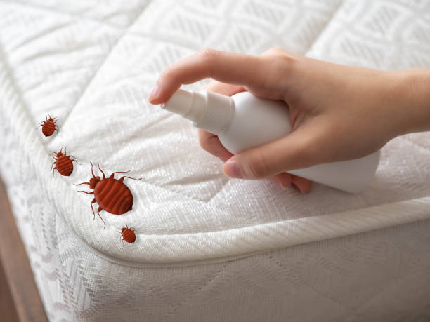 Best Termite Control Services  in Monroeville, IN