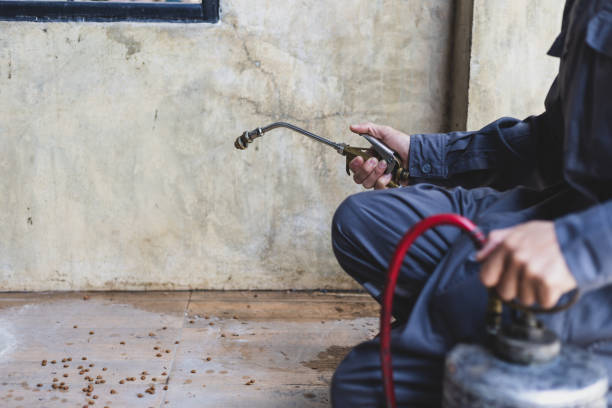 Professional Pest Control in Monroeville, IN